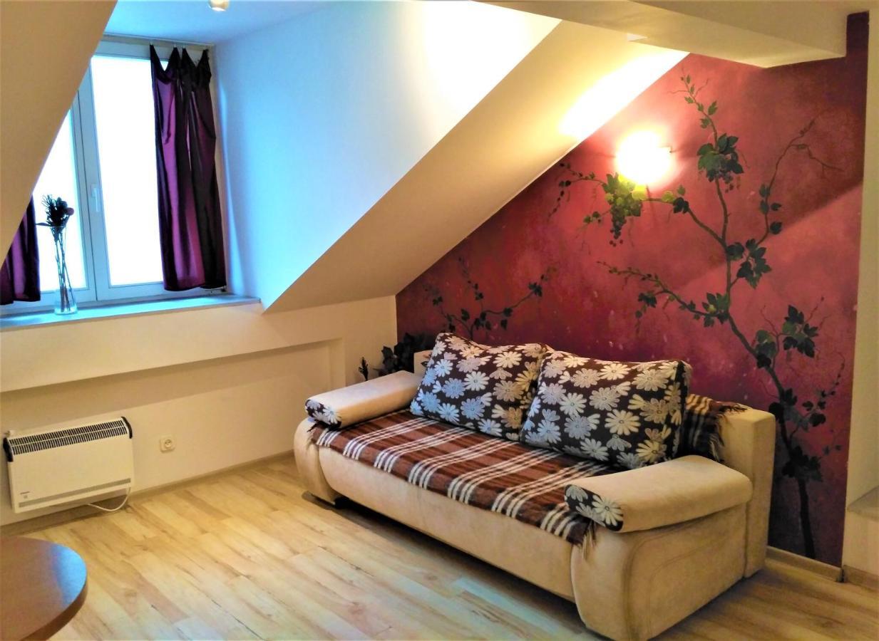 Krakow City Centre Apartment - Bon Turystyczny Kültér fotó